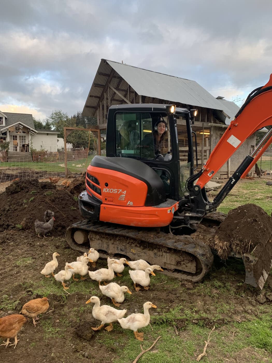 Terraforming a Garden image 1