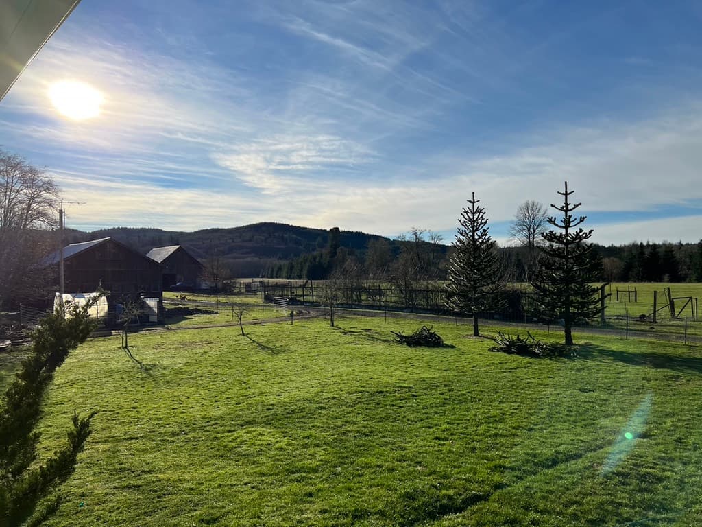 A Balmy January Day image 3