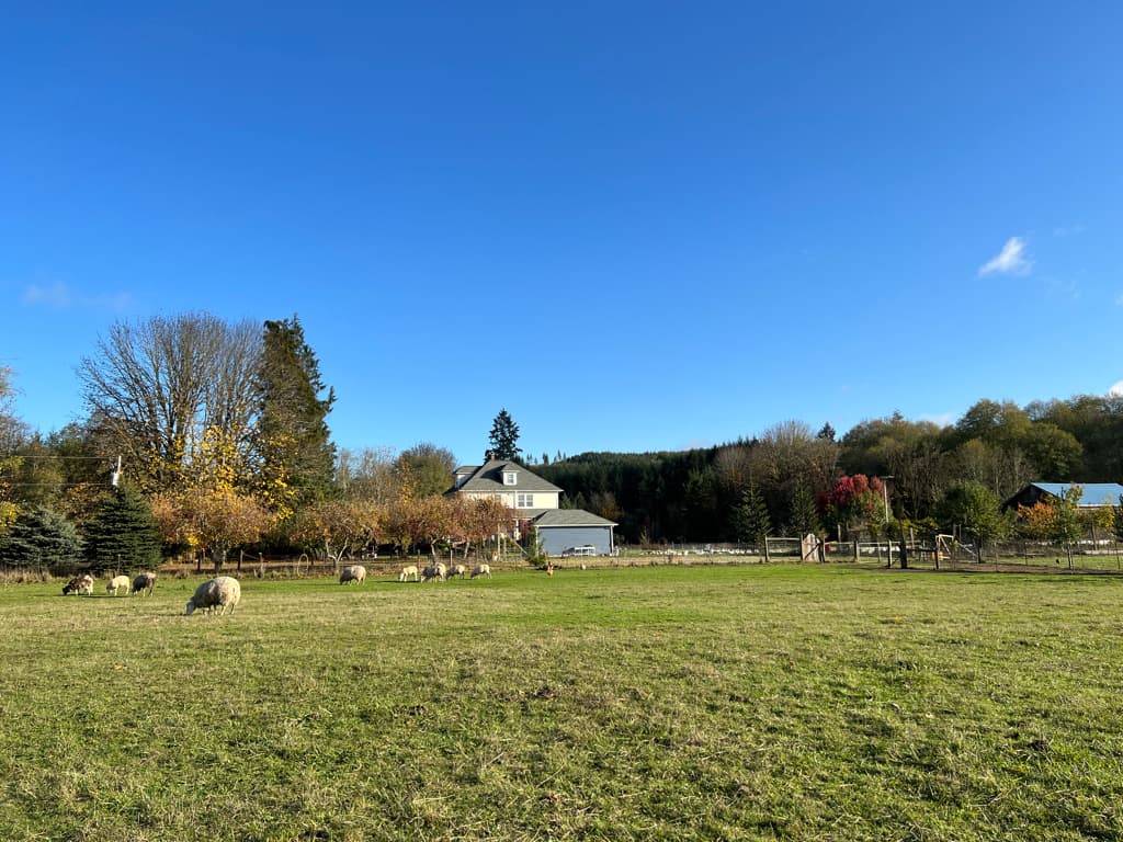 A New Duck Paddock image 2