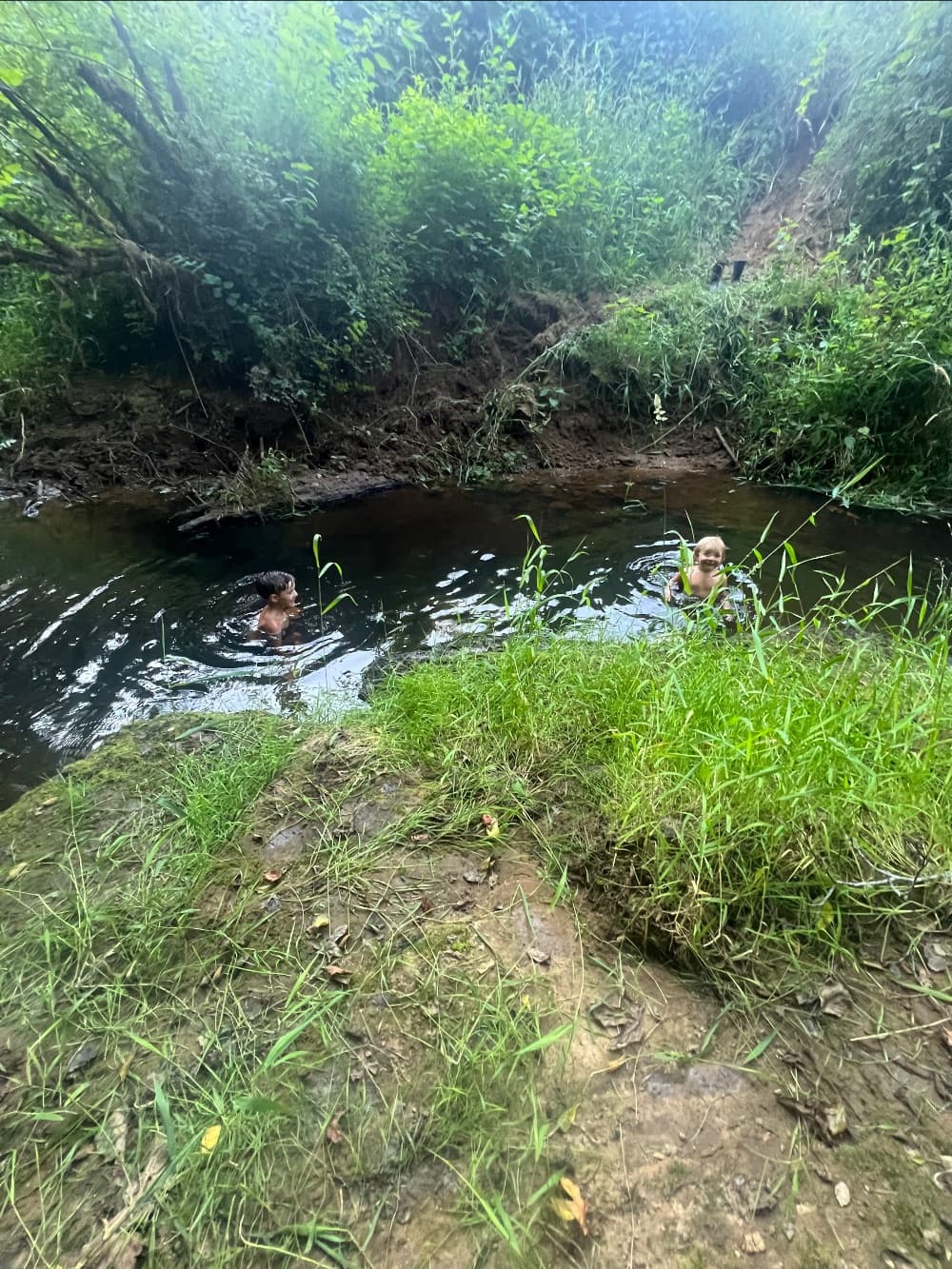 Born Under the Oak Tree image 5