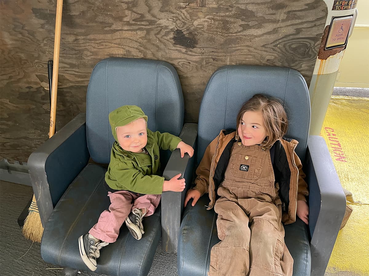 Calving Season on the Farm! image 2