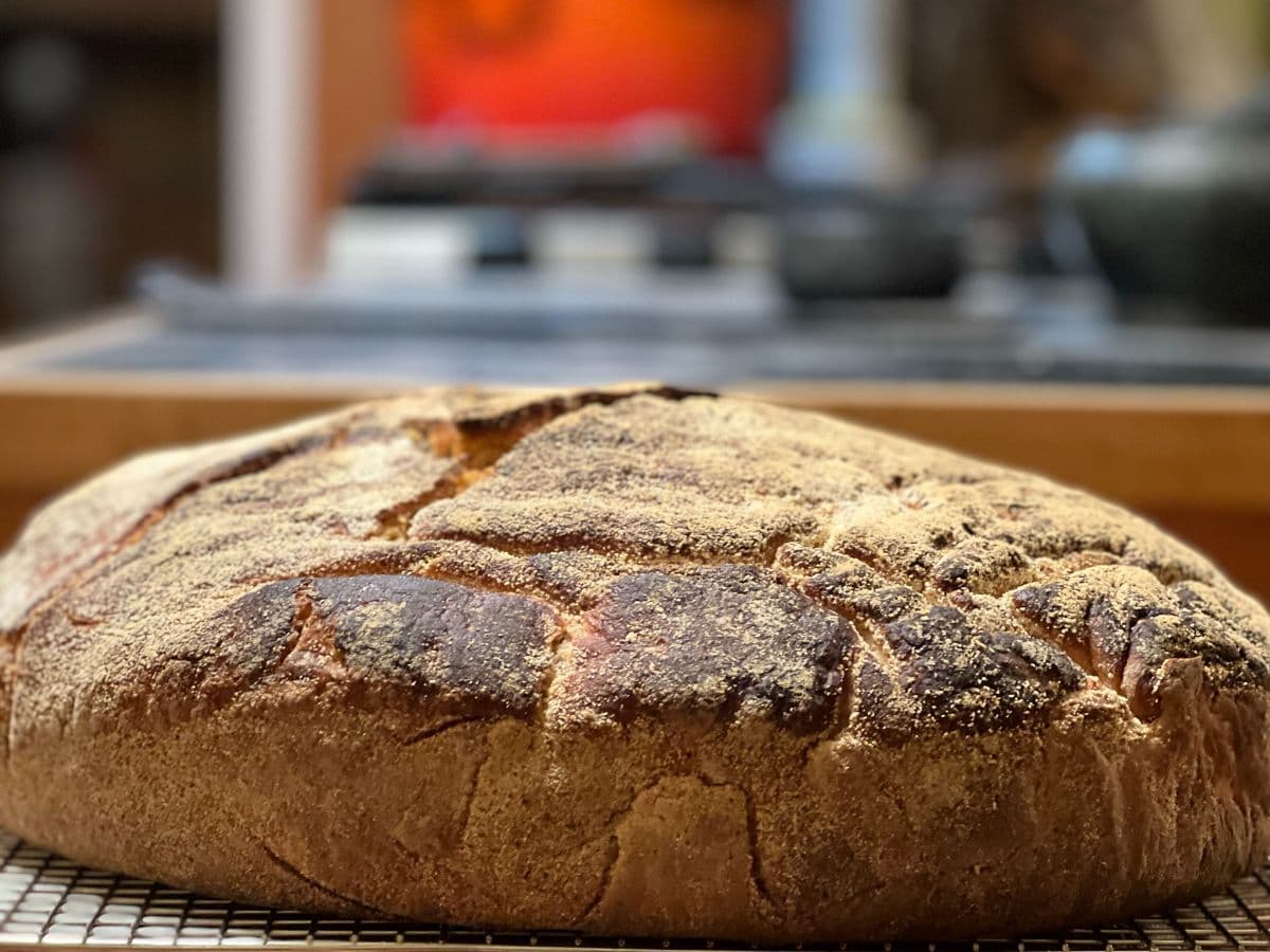 Cyberquad for Kids! image 3