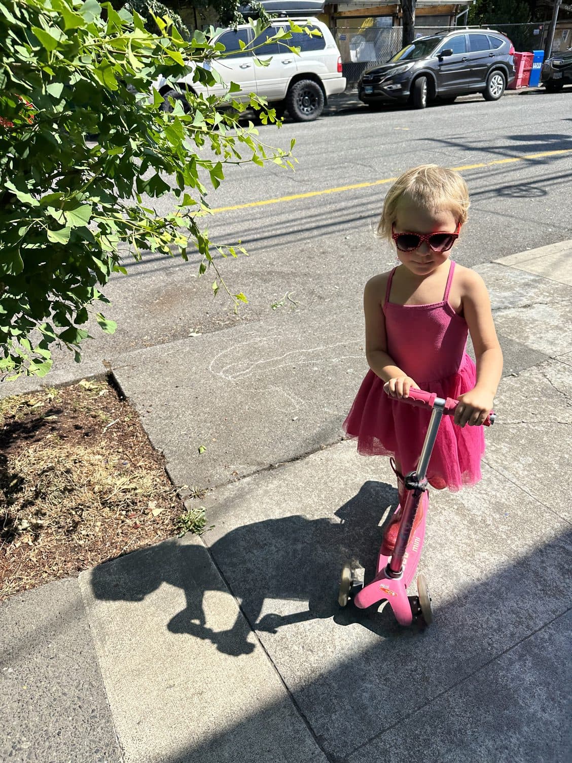 Magic Meat Truck in Coq au Vin