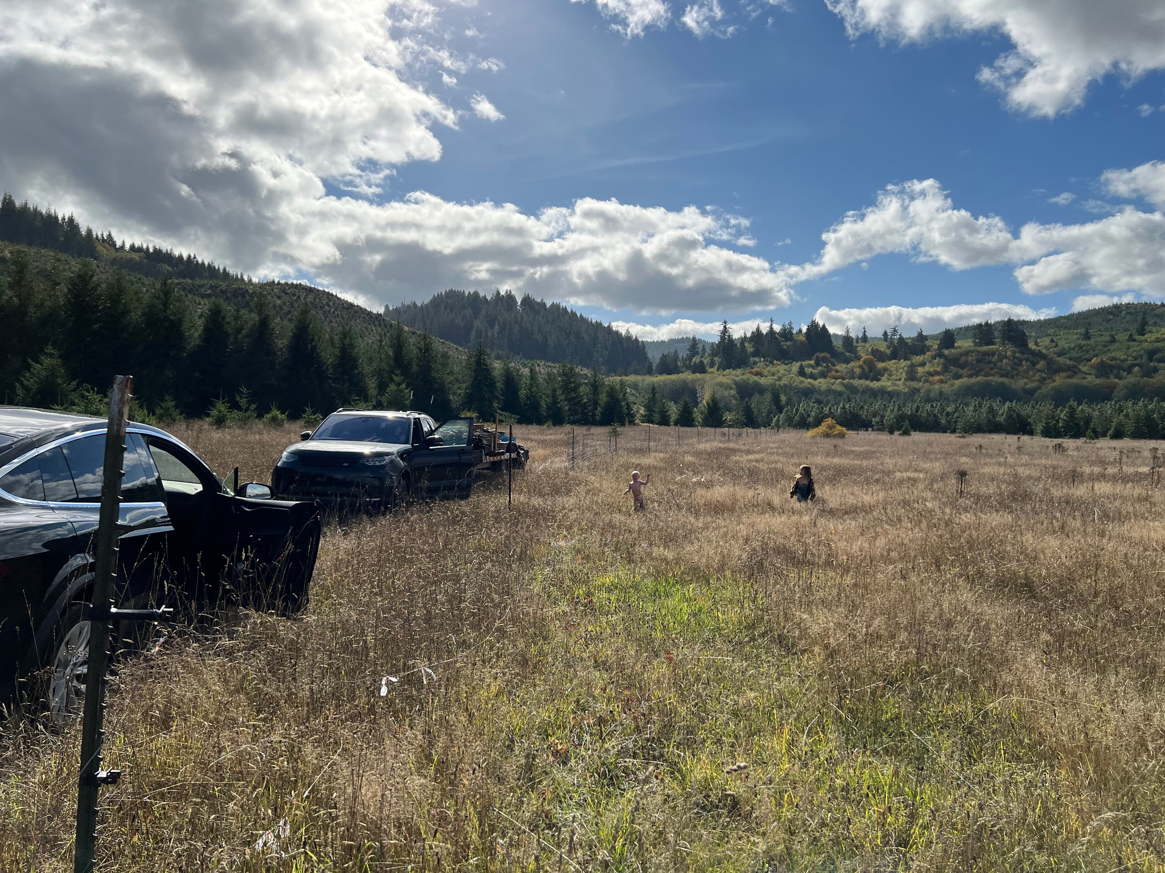 Fencing Neverstill image 5