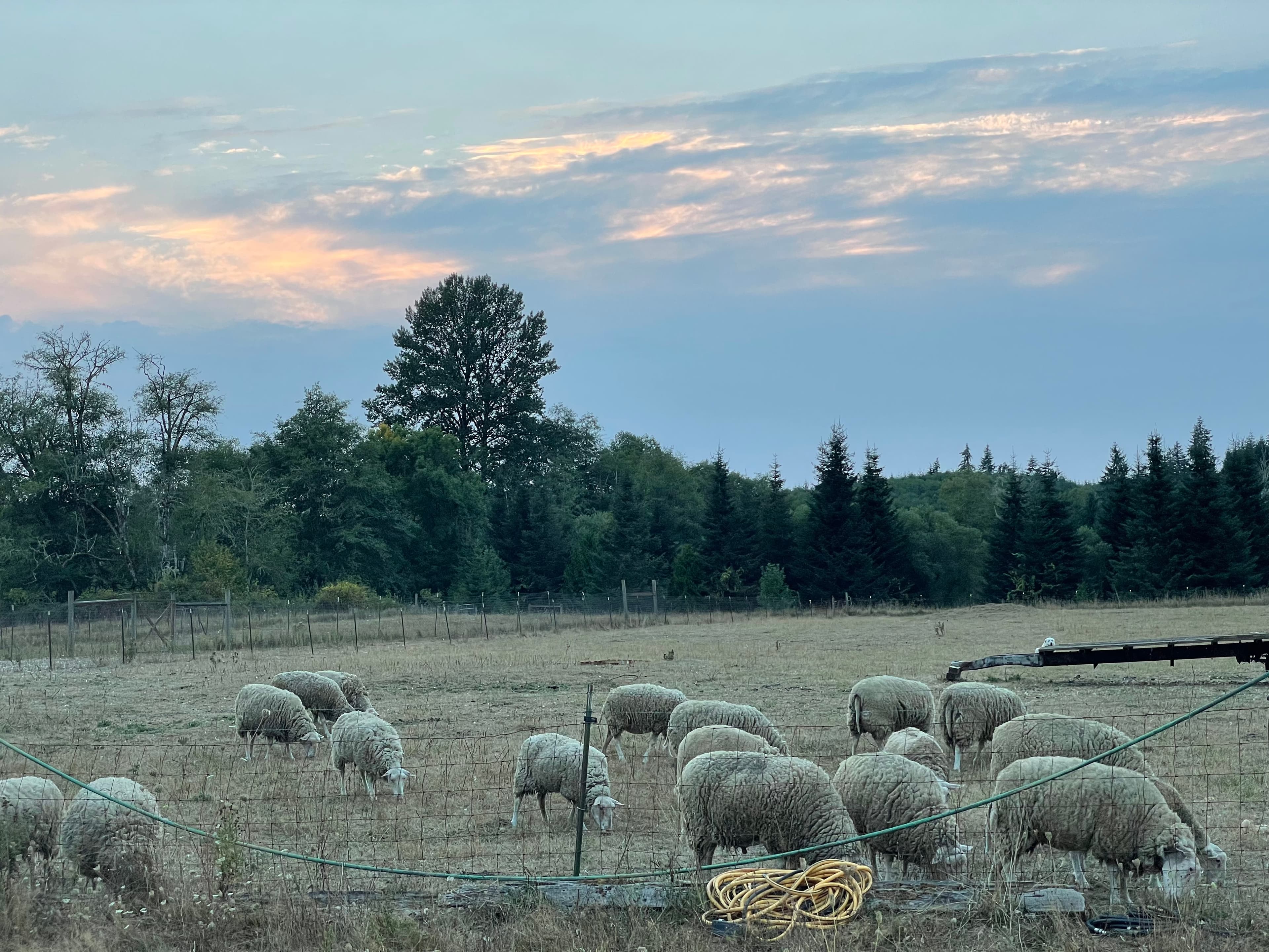 Getting Ready for Concrete image 1