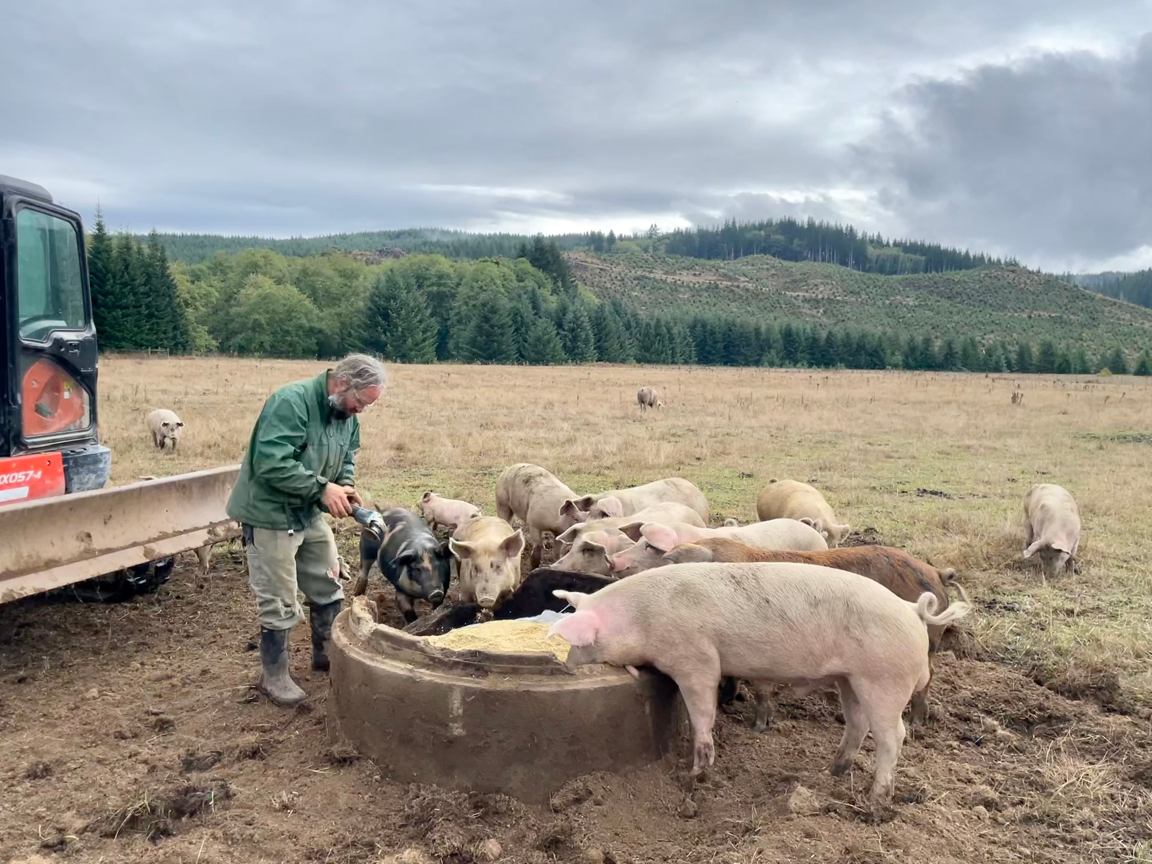 Obnoxiously Free Range image 1