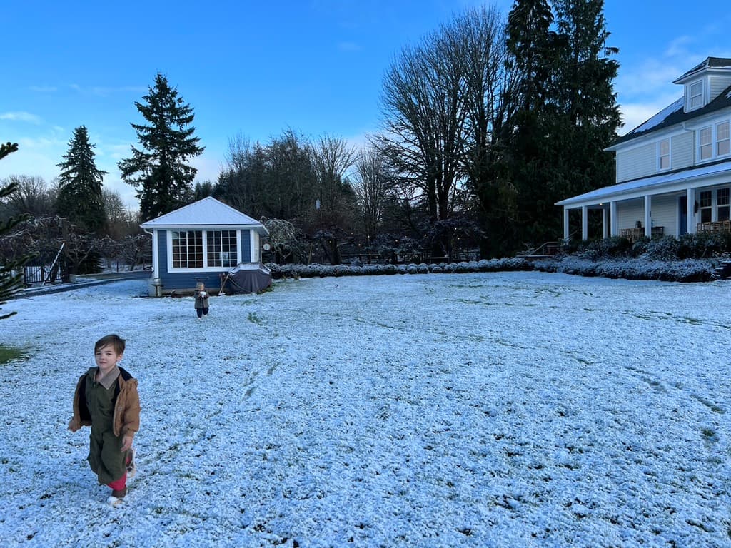 The Snowball Effect image 2