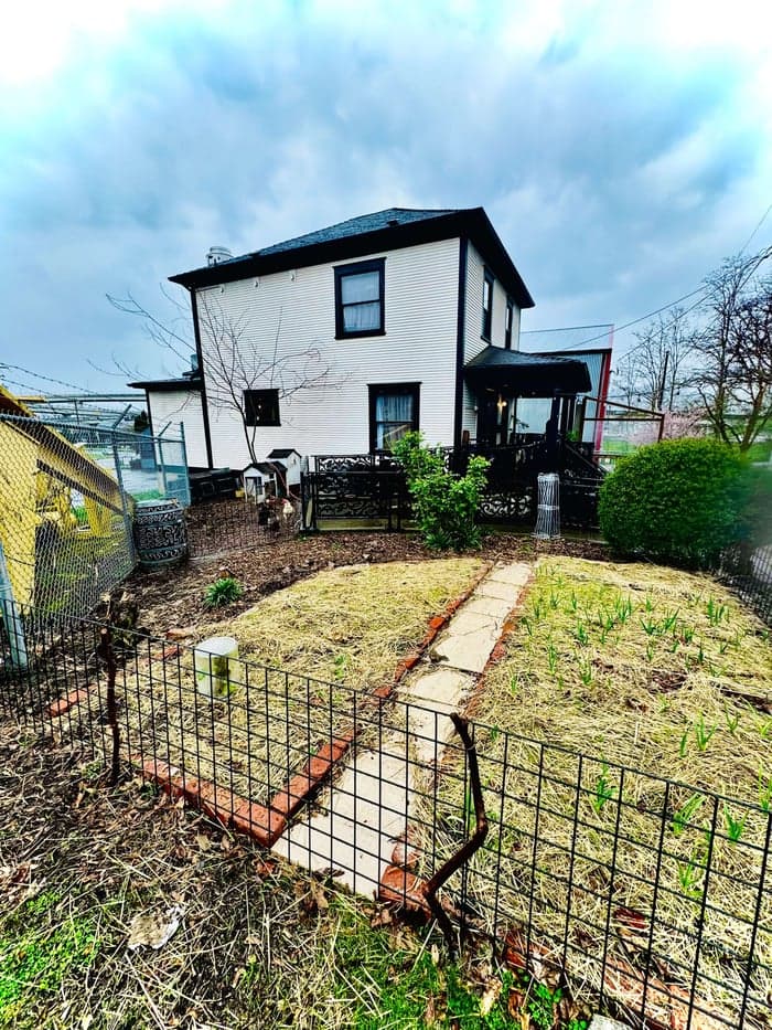 The Urban Chicken Farm, Part Two image 1